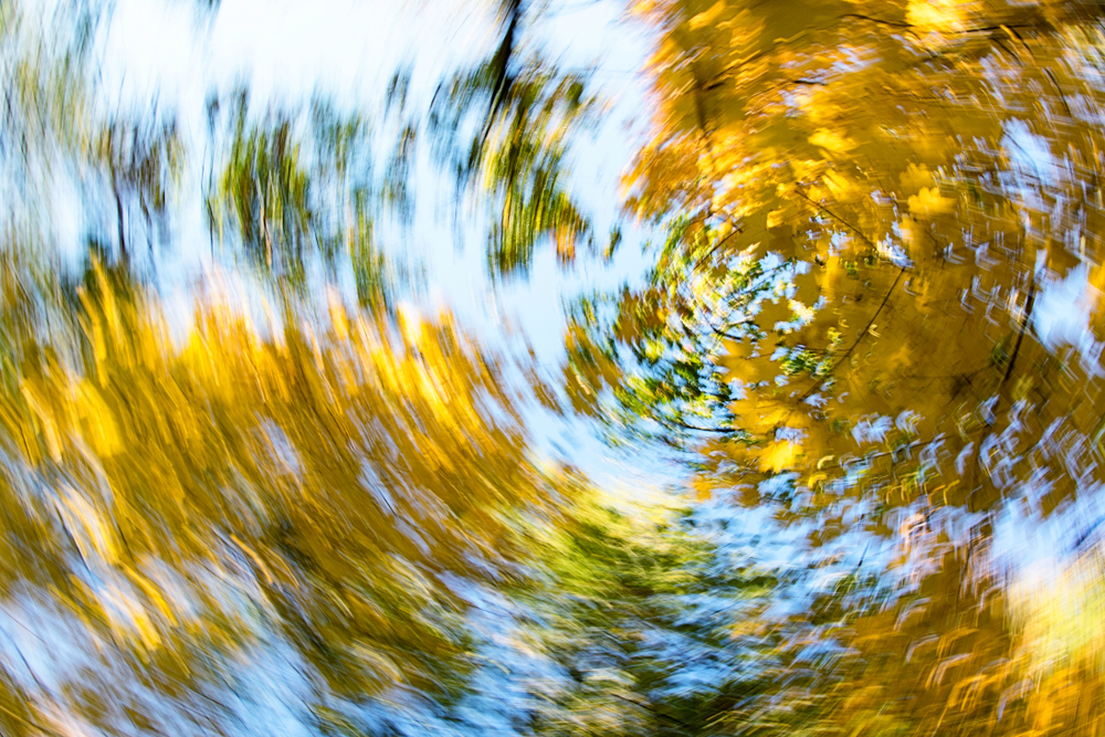 Shutterstock 1205863816